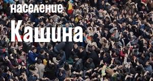 Население Кашина