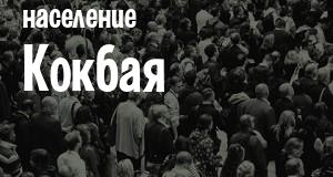 Население Кокбая