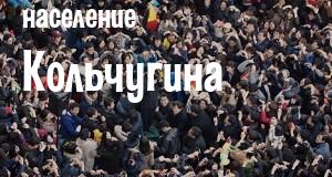 Население Кольчугина