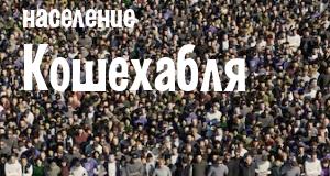 Население Кошехабля