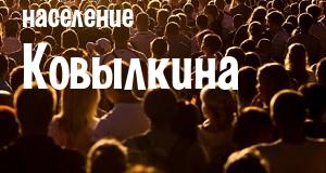 Население Ковылкина
