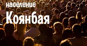 Население Коянбая