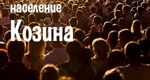 Население Козина