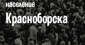 Население Красноборска