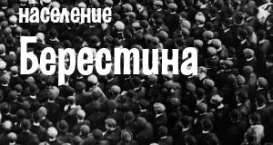 Население Берестина