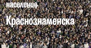 Население Краснознаменска