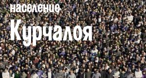 Население Курчалоя