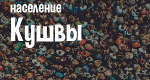 Население Кушвы