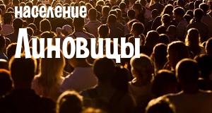 Население Линовицы