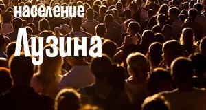 Население Лузина
