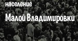 Население Малой Владимировки