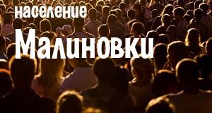 Население Малиновки