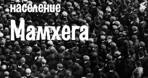 Население Мамхега