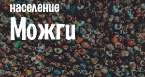 Население Можги