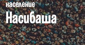 Население Насибаша
