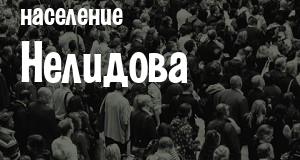 Население Нелидова