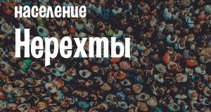 Население Нерехты