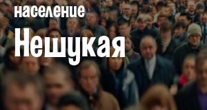 Население Нешукая