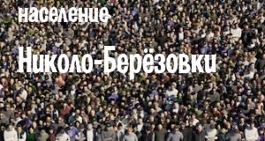 Население Николо-Берёзовки