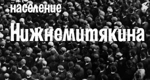 Население Нижнемитякина