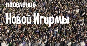 Население Новой Игирмы