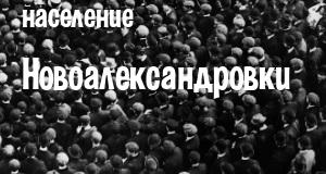 Население Новоалександровки