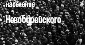 Население Новобурейского
