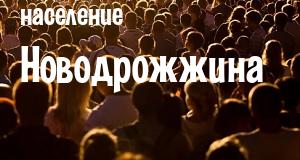 Население Новодрожжина