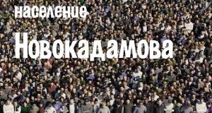 Население Новокадамова