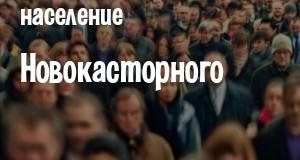 Население Новокасторного