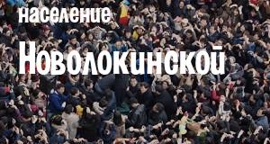 Население Новолокинской