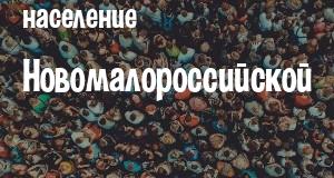 Население Новомалороссийской
