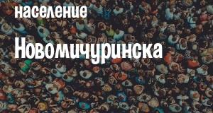 Население Новомичуринска