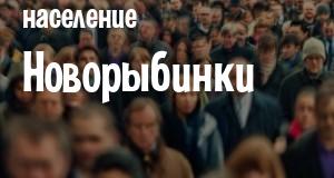 Население Новорыбинки