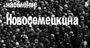 Население Новосемейкина