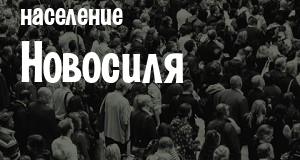 Население Новосиля
