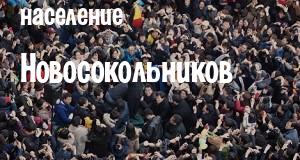 Население Новосокольников