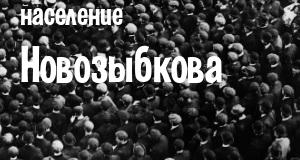 Население Новозыбкова