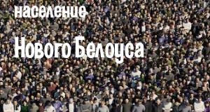 Население Нового Белоуса
