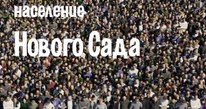 Население Нового Сада