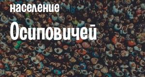 Население Осиповичей