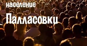 Население Палласовки