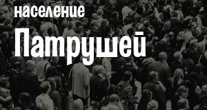 Население Патрушей