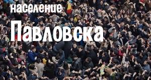 Население Павловска