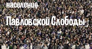 Население Павловской Слободы