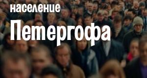 Население Петергофа