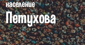 Население Петухова