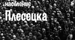Население Плесецка