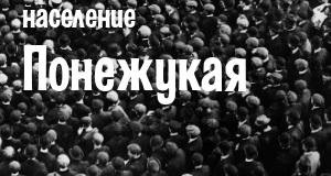 Население Понежукая
