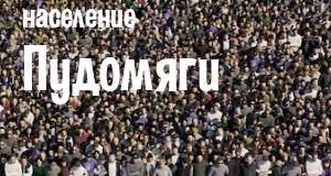 Население Пудомяги